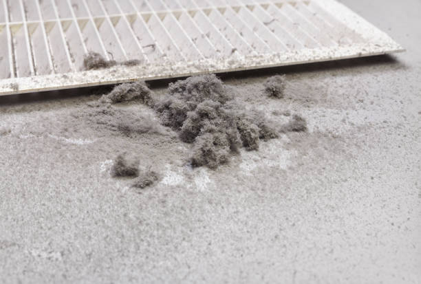 Best HVAC Air Duct Cleaning  in Bryans Road, MD